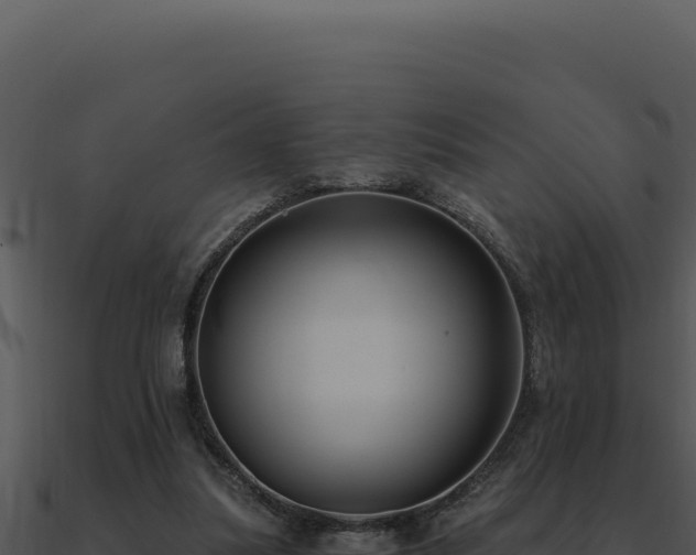 X0000091000251200708021607