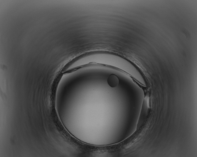 X0000091000252200708021607