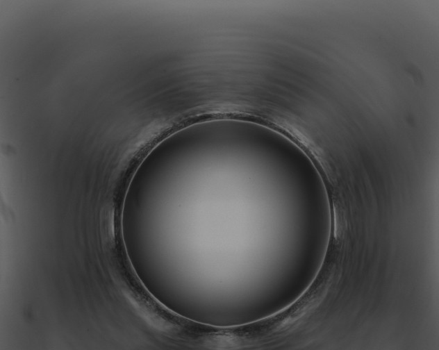 X0000091000253200708021607