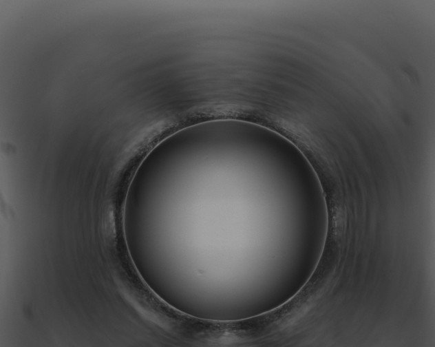 X0000091000254200708021607