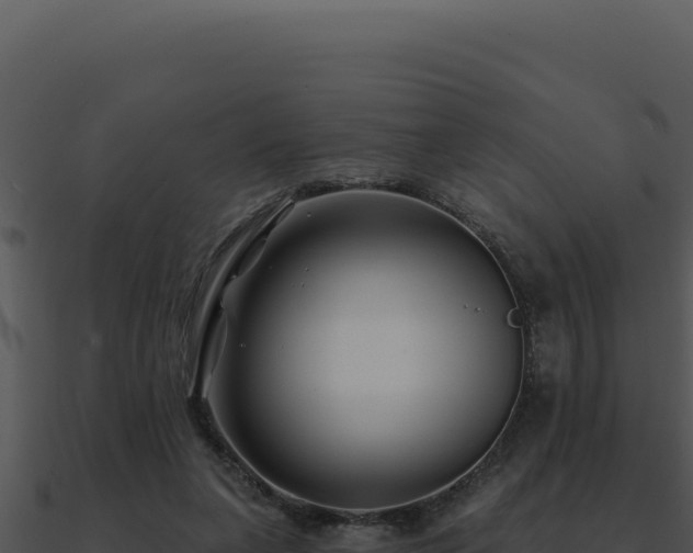 X0000091000255200708021607