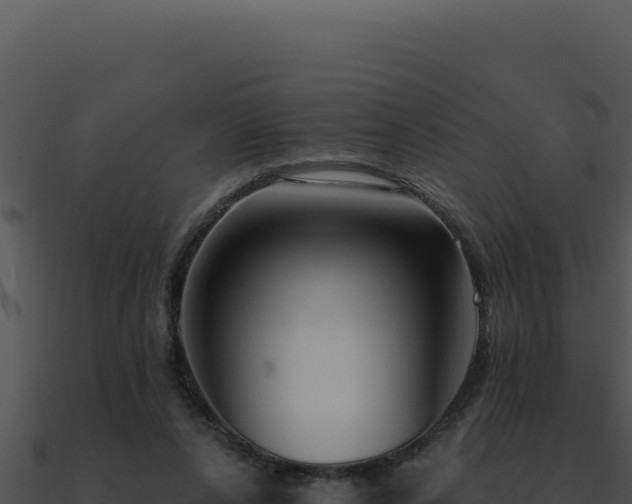 X0000091000256200708021607