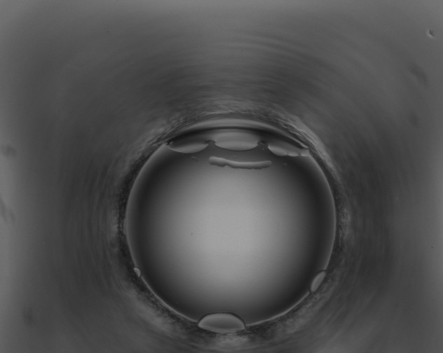 X0000091000257200708021607