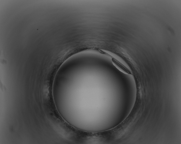 X0000091000259200708021607