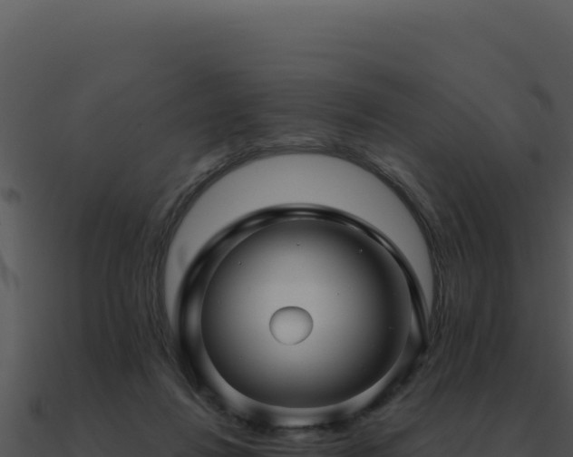 X0000091000260200708021607
