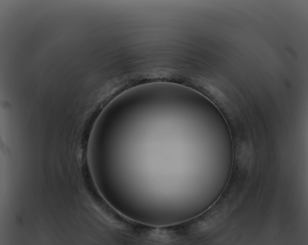 X0000091000261200708021607