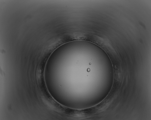 X0000091000263200708021607