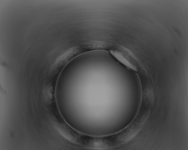 X0000091000264200708021607