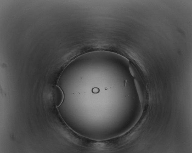 X0000091000265200708021607