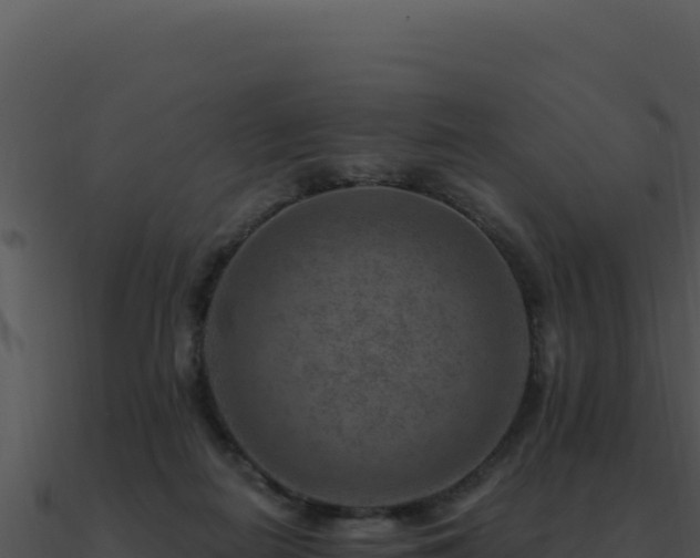 X0000091000266200708021607