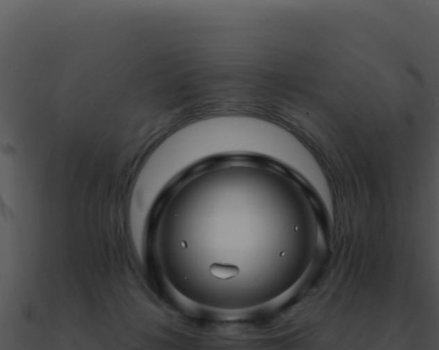 X0000091000268200708021607