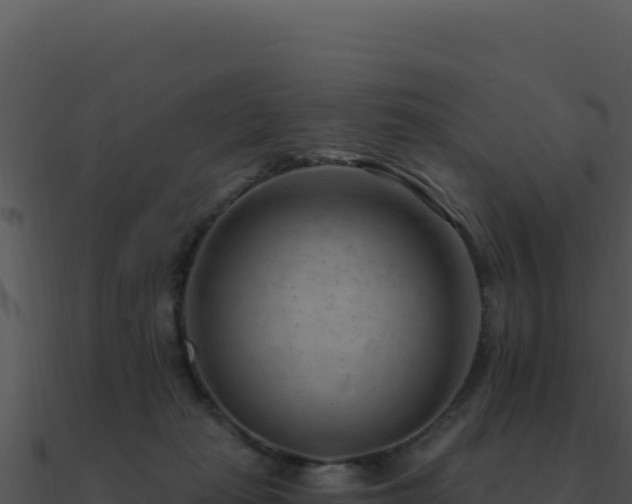X0000091000269200708021607