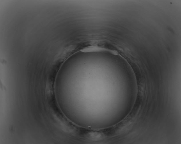 X0000091000272200708021607