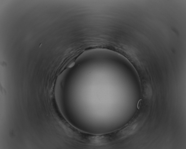 X0000091000273200708021607
