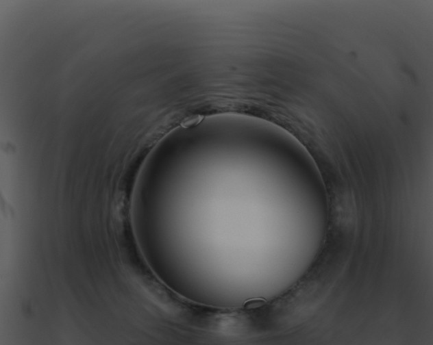 X0000091000275200708021607