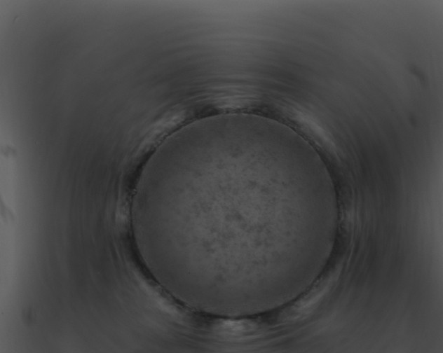 X0000091000277200708021607
