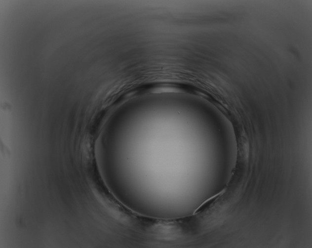 X0000091000280200708021607