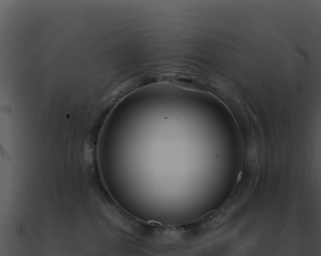 X0000091000282200708021607