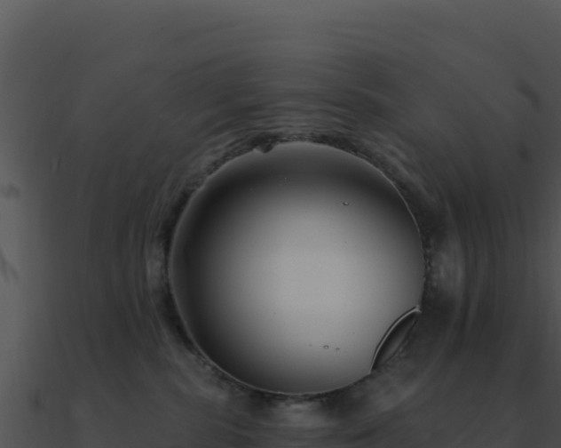 X0000091000283200708021607