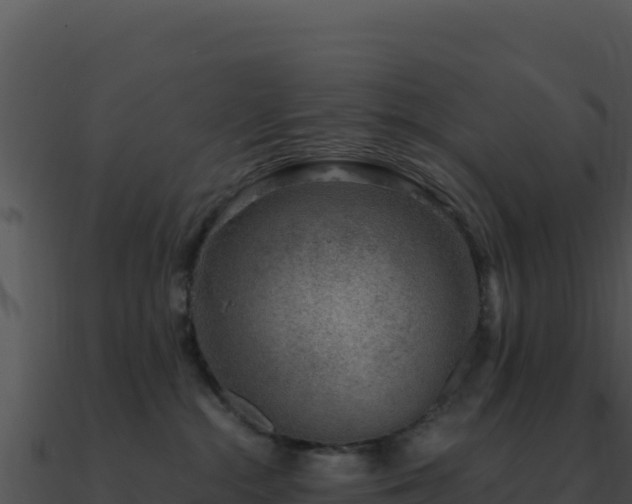 X0000091000284200708021607