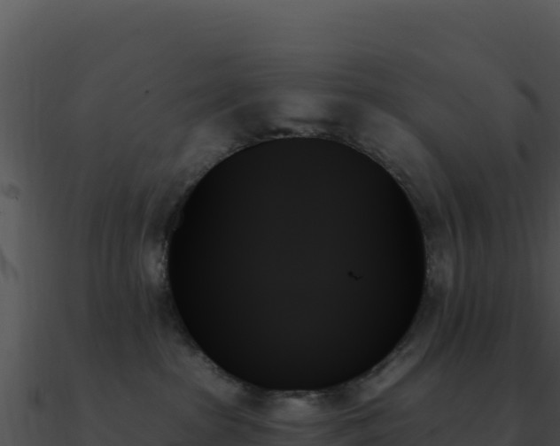 X0000091000285200708021607