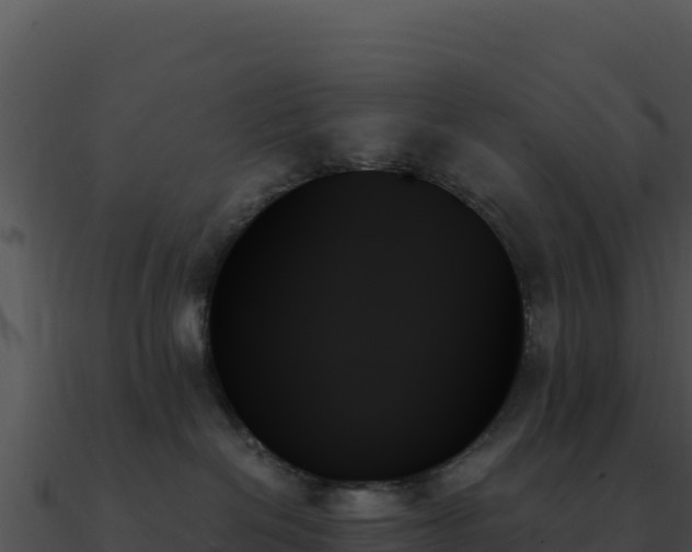 X0000091000286200708021607