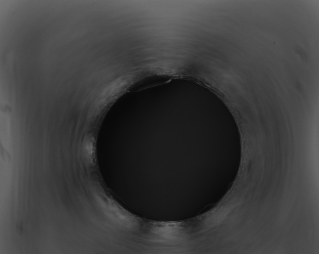 X0000091000288200708021607