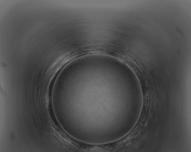 X0000091000290200708021606