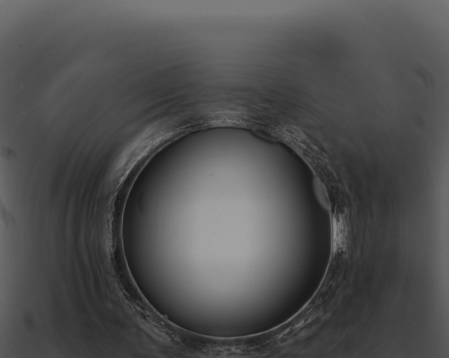 X0000091000291200708021606
