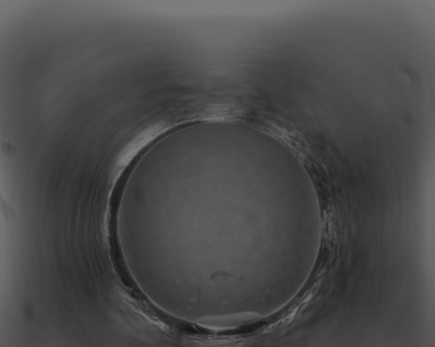 X0000091000292200708021606
