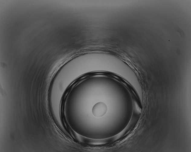 X0000091000293200708021606