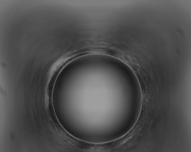 X0000091000294200708021606