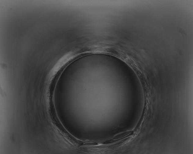X0000091000295200708021606