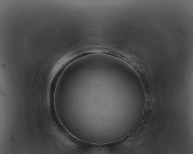 X0000091000296200708021606