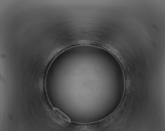 X0000091000297200708021606
