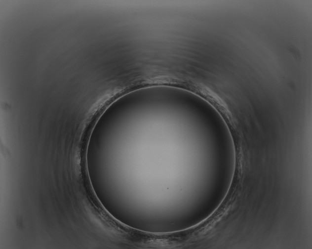 X0000091000298200708021606