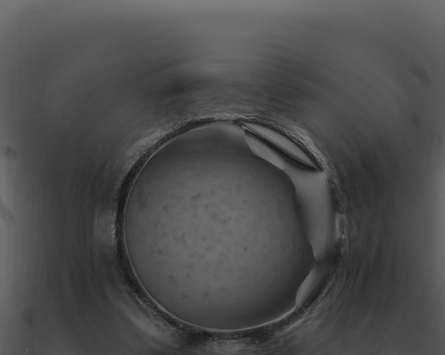 X0000091000299200708021606
