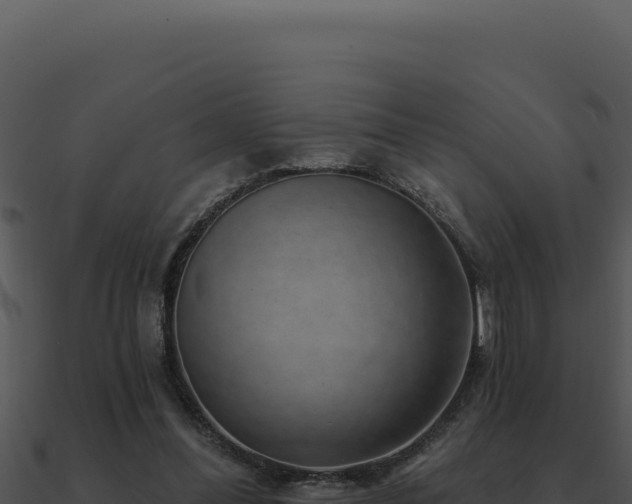 X0000091000300200708021606