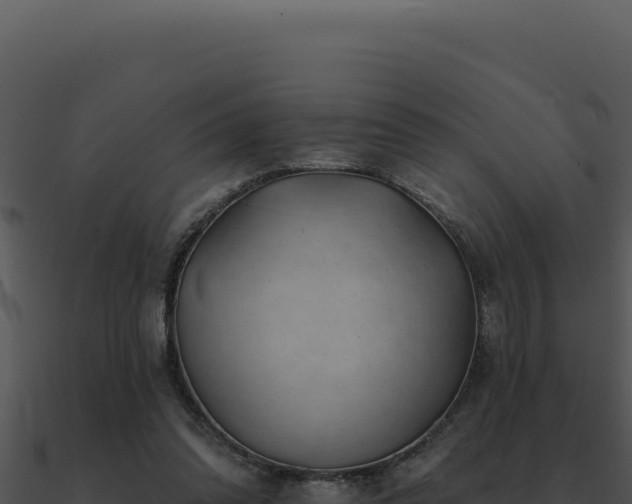 X0000091000302200708021606