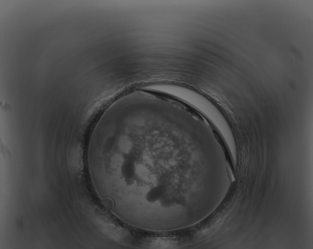X0000091000303200708021606