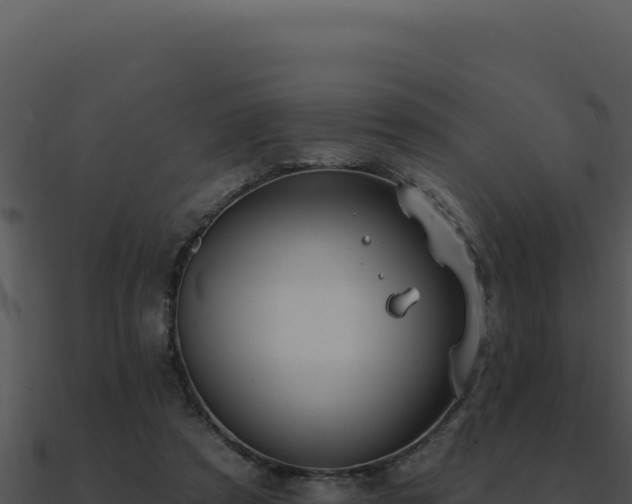X0000091000305200708021606