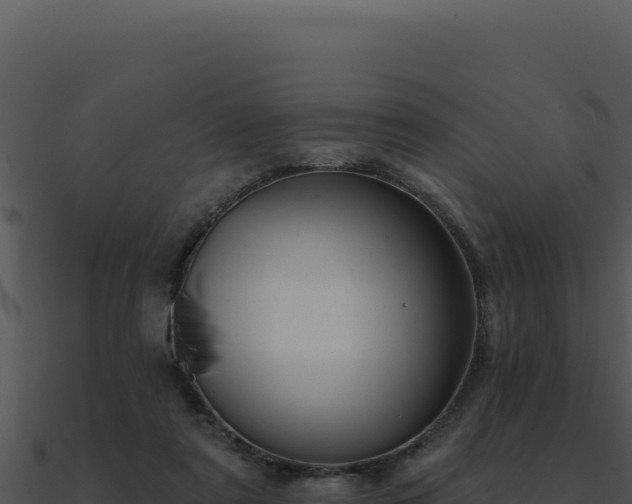 X0000091000307200708021606