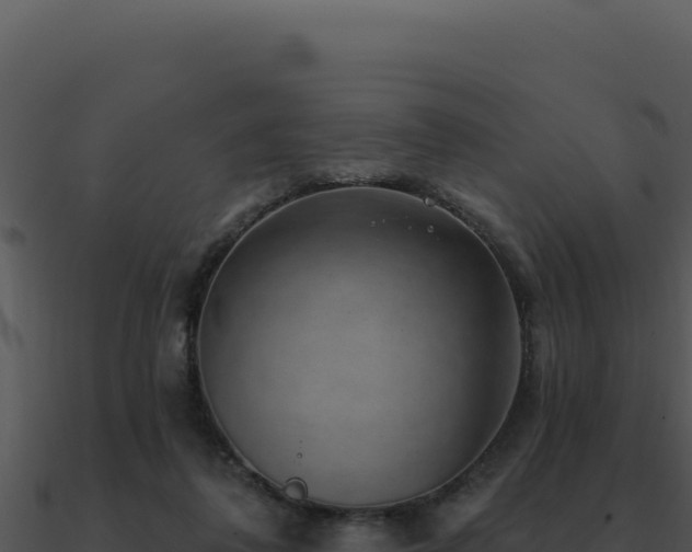 X0000091000308200708021606