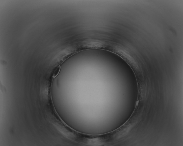 X0000091000309200708021606