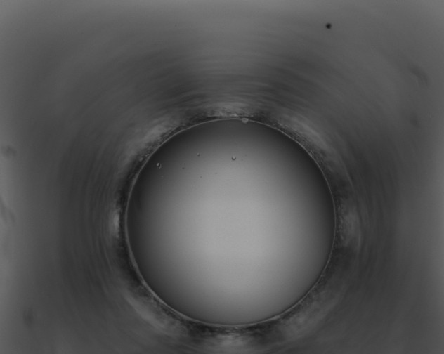 X0000091000310200708021606