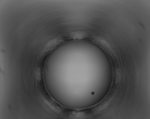 X0000091000311200708021606