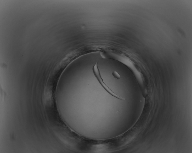 X0000091000312200708021606
