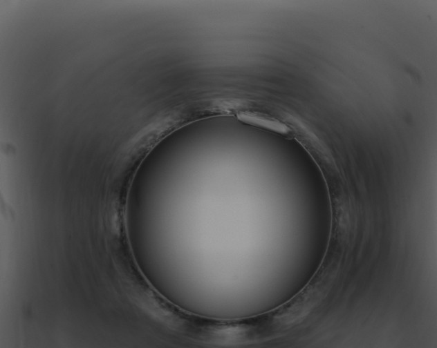 X0000091000313200708021606