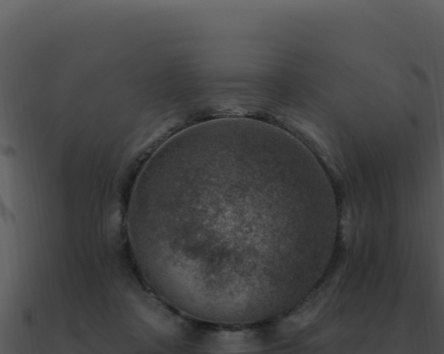 X0000091000314200708021606