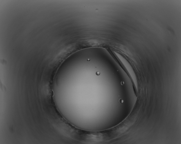 X0000091000317200708021606